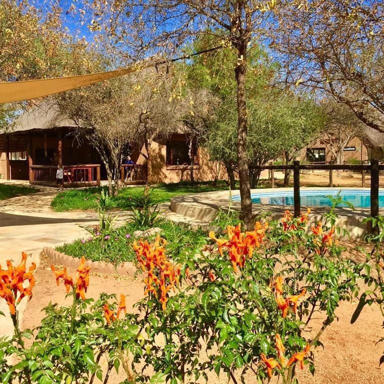 Golden Impalas Bush Resort Hammanskraal Exterior foto